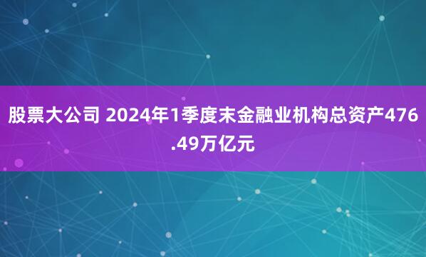 股票大公司 2024年1季度末金融业机构总资产476.49万亿元