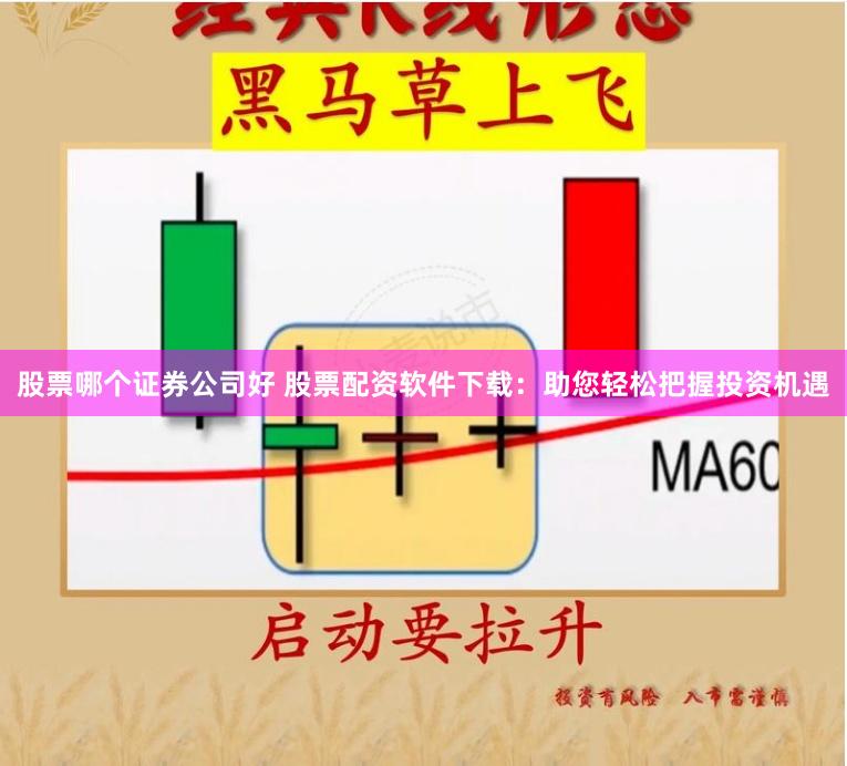 股票哪个证券公司好 股票配资软件下载：助您轻松把握投资机遇
